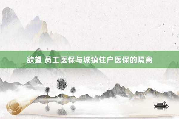 欲望 员工医保与城镇住户医保的隔离