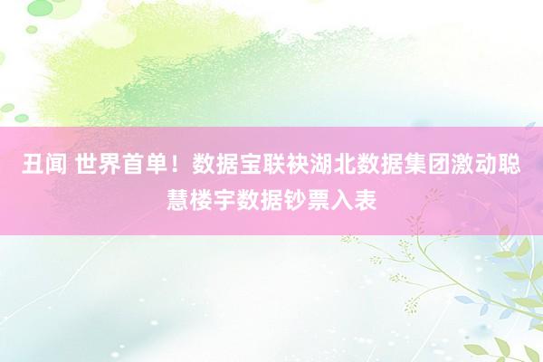 丑闻 世界首单！数据宝联袂湖北数据集团激动聪慧楼宇数据钞票入表