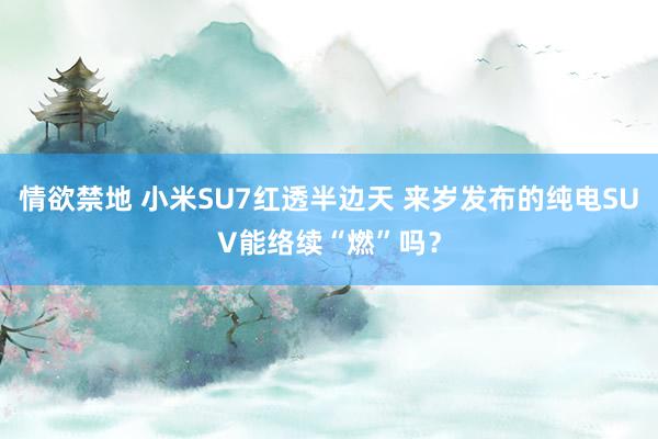 情欲禁地 小米SU7红透半边天 来岁发布的纯电SUV能络续“燃”吗？