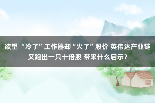欲望 “冷了”工作器却“火了”股价 英伟达产业链又跑出一只十倍股 带来什么启示？