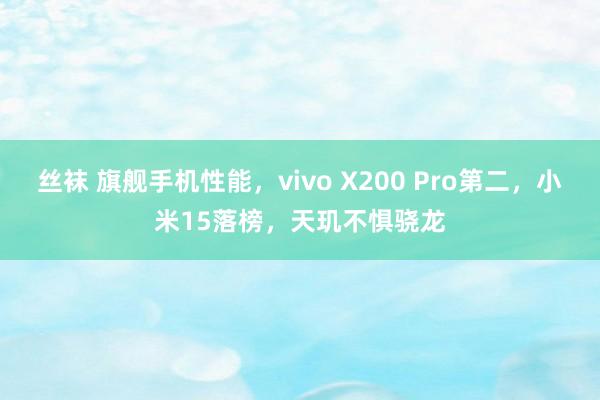 丝袜 旗舰手机性能，vivo X200 Pro第二，小米15落榜，天玑不惧骁龙