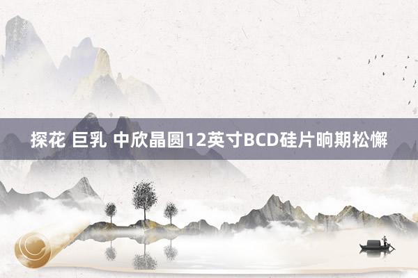 探花 巨乳 中欣晶圆12英寸BCD硅片晌期松懈