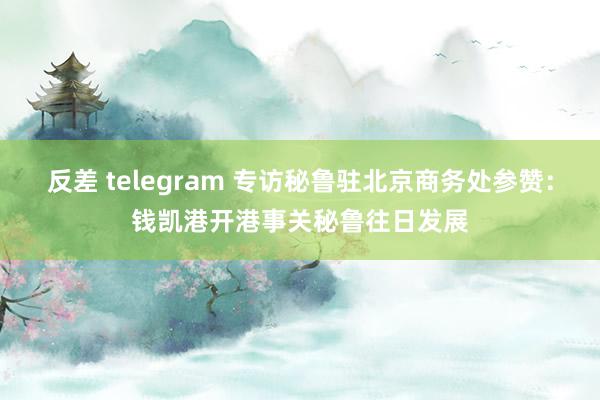 反差 telegram 专访秘鲁驻北京商务处参赞：钱凯港开港事关秘鲁往日发展