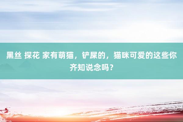 黑丝 探花 家有萌猫，铲屎的，猫咪可爱的这些你齐知说念吗？