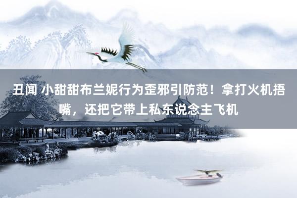 丑闻 小甜甜布兰妮行为歪邪引防范！拿打火机捂嘴，还把它带上私东说念主飞机