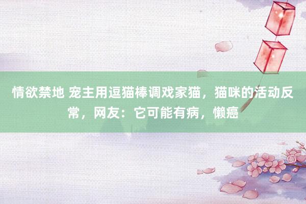 情欲禁地 宠主用逗猫棒调戏家猫，猫咪的活动反常，网友：它可能有病，懒癌