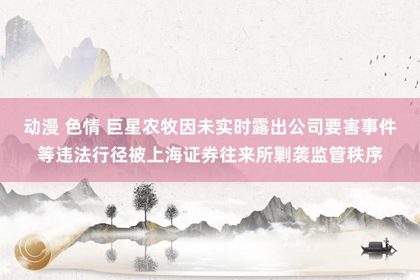 动漫 色情 巨星农牧因未实时露出公司要害事件等违法行径被上海证券往来所剿袭监管秩序