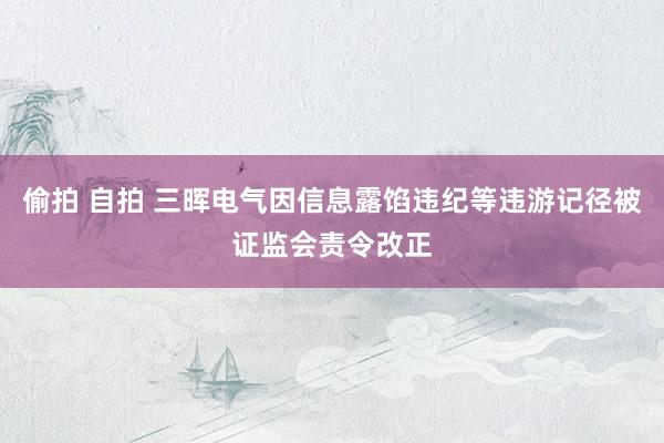 偷拍 自拍 三晖电气因信息露馅违纪等违游记径被证监会责令改正