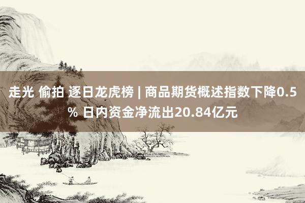 走光 偷拍 逐日龙虎榜 | 商品期货概述指数下降0.5% 日内资金净流出20.84亿元