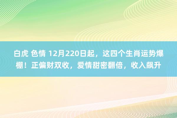 白虎 色情 12月220日起，这四个生肖运势爆棚！正偏财双收，爱情甜密翻倍，收入飙升