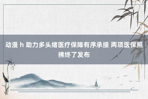 动漫 h 助力多头绪医疗保障有序承接 两项医保照拂终了发布