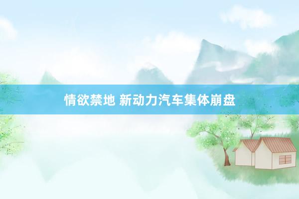情欲禁地 新动力汽车集体崩盘