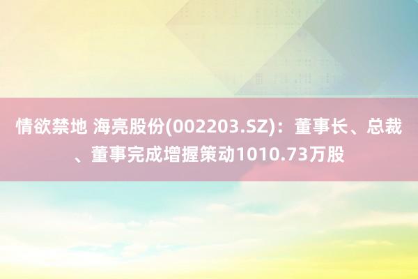 情欲禁地 海亮股份(002203.SZ)：董事长、总裁、董事完成增握策动1010.73万股