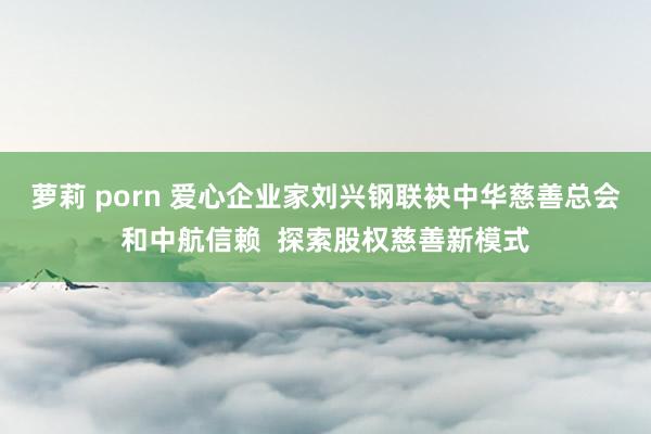 萝莉 porn 爱心企业家刘兴钢联袂中华慈善总会和中航信赖  探索股权慈善新模式