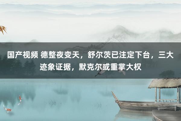 国产视频 德整夜变天，舒尔茨已注定下台，<a href=