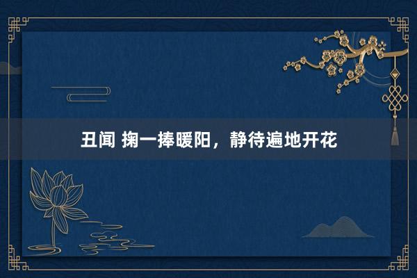 丑闻 掬一捧暖阳，静待遍地开花