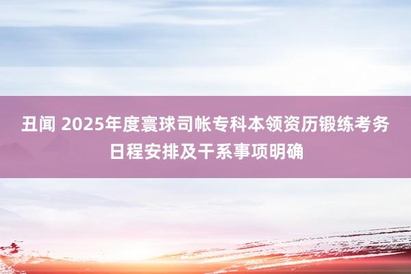 丑闻 2025年度寰球司帐专科本领资历锻练考务日程安排及干系事项明确