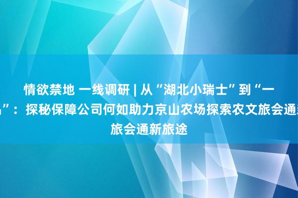 情欲禁地 一线调研 | 从“湖北小瑞士”到“一村一品”：探秘保障公司何如助力京山农场探索农文旅会通新旅途