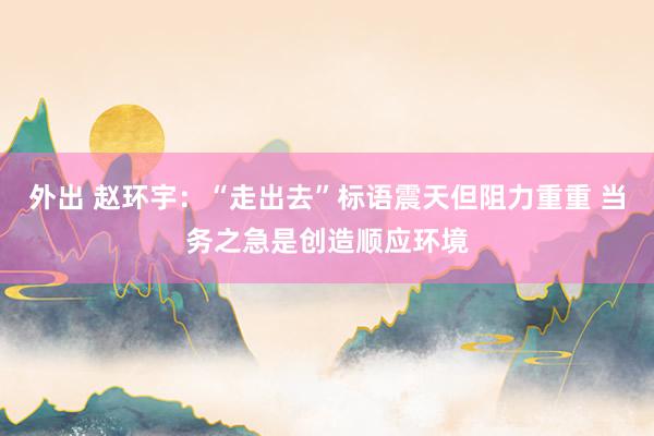 外出 赵环宇：“走出去”标语震天但阻力重重 当务之急是创造顺应环境
