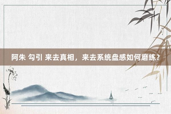 阿朱 勾引 来去真相，来去系统盘感如何磨练？
