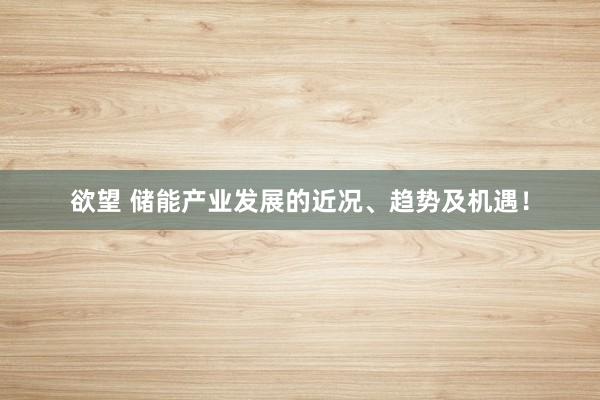 欲望 储能产业发展的近况、趋势及机遇！