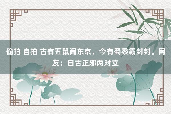 偷拍 自拍 古有五鼠闹东京，今有蜀黍霸封封。网友：自古正邪两对立