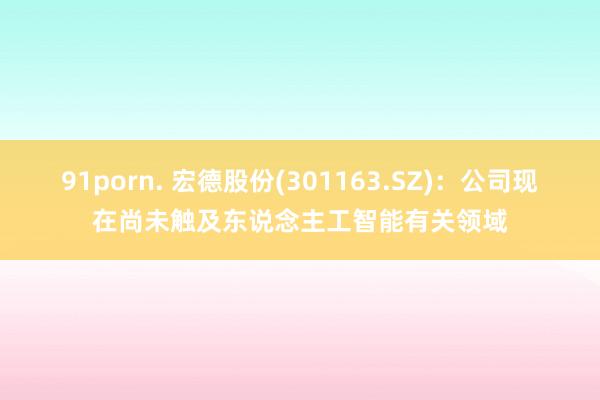 91porn. 宏德股份(301163.SZ)：公司现在尚未触及东说念主工智能有关领域