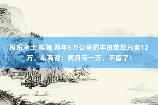 极乐净土 裸舞 两年5万公里的丰田荣放只卖12万，车商说：两月亏一万，不留了！