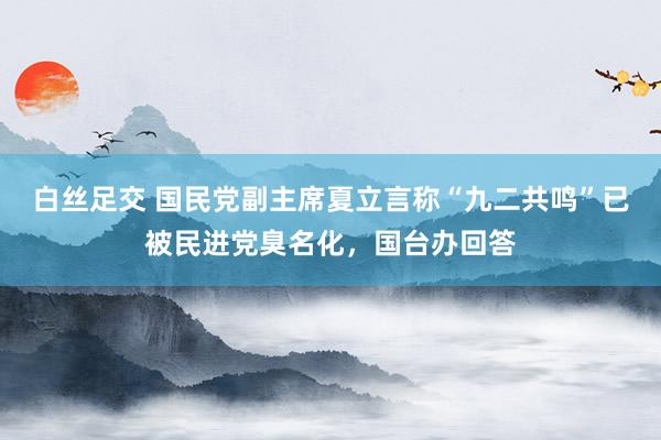 白丝足交 国民党副主席夏立言称“九二共鸣”已被民进党臭名化，国台办回答