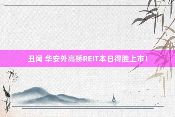丑闻 华安外高桥REIT本日得胜上市！