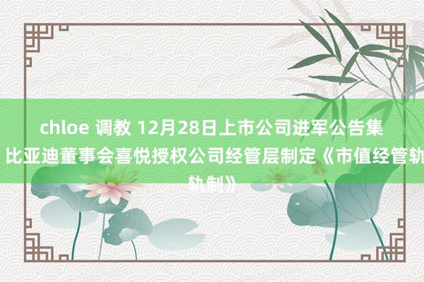 chloe 调教 12月28日上市公司进军公告集锦：比亚迪董事会喜悦授权公司经管层制定《市值经管轨制》