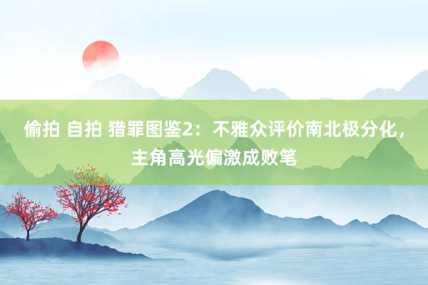偷拍 自拍 猎罪图鉴2：不雅众评价南北极分化，主角高光偏激成败笔