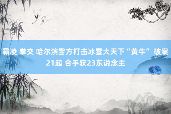 霸凌 拳交 哈尔滨警方打击冰雪大天下“黄牛” 破案21起 合手获23东说念主
