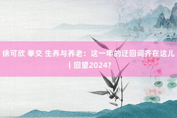 徐可欣 拳交 生养与养老：这一年的迂回词齐在这儿｜回望2024?
