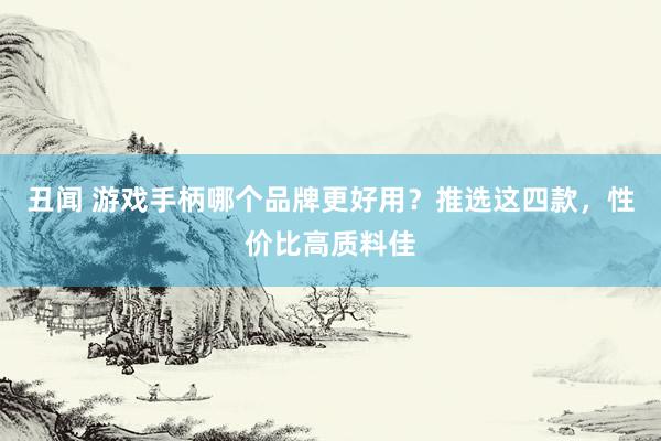 丑闻 游戏手柄哪个品牌更好用？推选这四款，性价比高质料佳