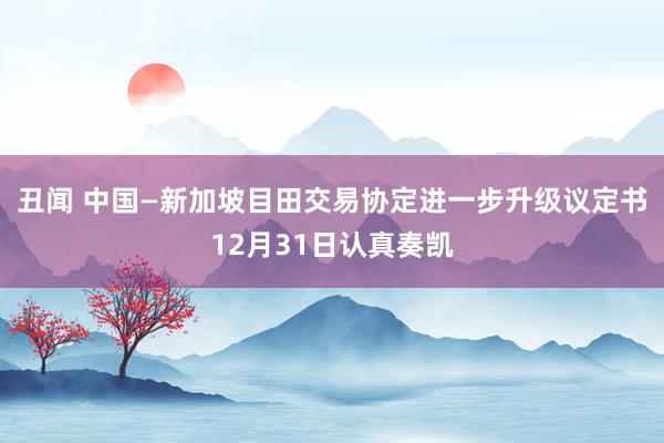丑闻 中国—新加坡目田交易协定进一步升级议定书12月31日认真奏凯