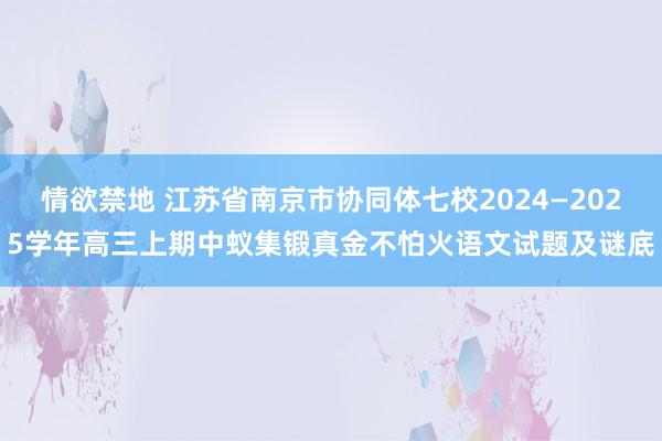 情欲禁地 江苏省南京市协同体七校2024—2025学年高三上期中蚁集锻真金不怕火语文试题及谜底