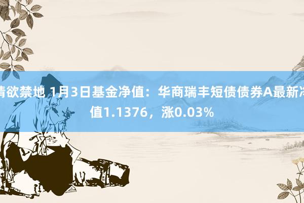 情欲禁地 1月3日基金净值：华商瑞丰短债债券A最新净值1.1376，涨0.03%