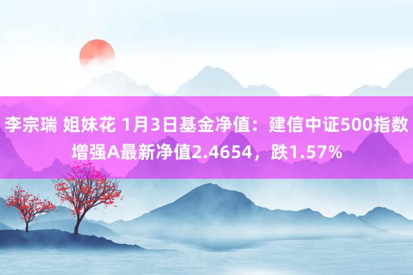 李宗瑞 姐妹花 1月3日基金净值：建信中证500指数增强A最新净值2.4654，跌1.57%