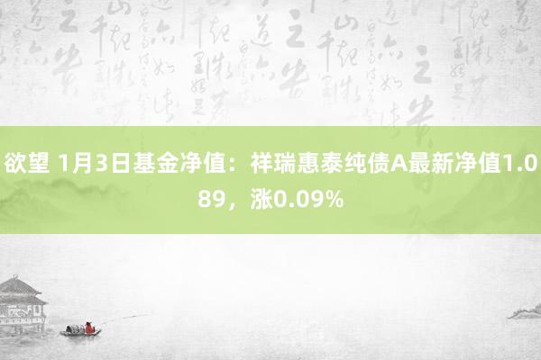 欲望 1月3日基金净值：祥瑞惠泰纯债A最新净值1.089，涨0.09%