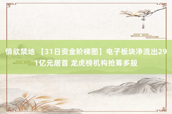 情欲禁地 【31日资金阶梯图】电子板块净流出291亿元居首 龙虎榜机构抢筹多股