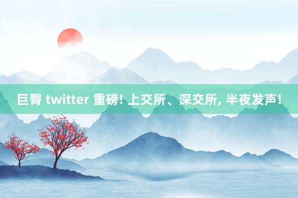 巨臀 twitter 重磅! 上交所、深交所， 半夜发声!