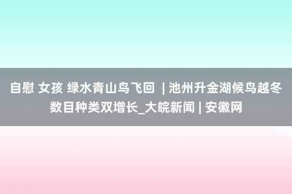 自慰 女孩 绿水青山鸟飞回  | 池州升金湖候鸟越冬数目种类双增长_大皖新闻 | 安徽网