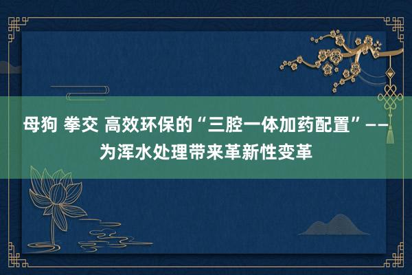 母狗 拳交 高效环保的“三腔一体加药配置”——为浑水处理带来革新性变革