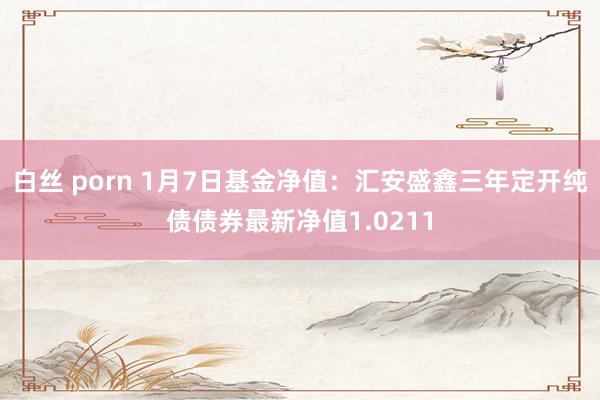 白丝 porn 1月7日基金净值：汇安盛鑫三年定开纯债债券最新净值1.0211