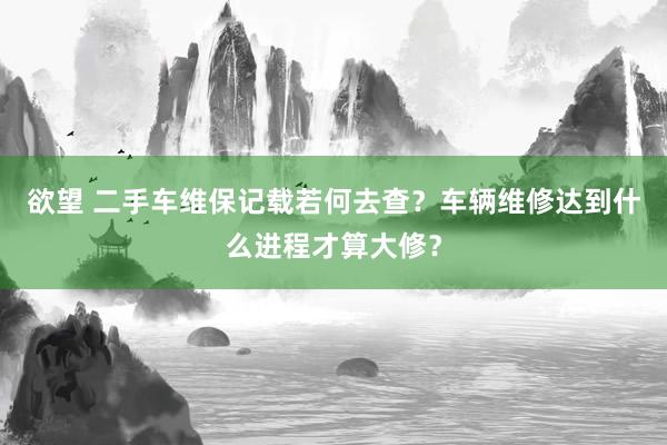 欲望 二手车维保记载若何去查？车辆维修达到什么进程才算大修？