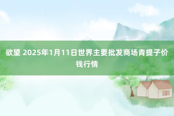 欲望 2025年1月11日世界主要批发商场青提子价钱行情