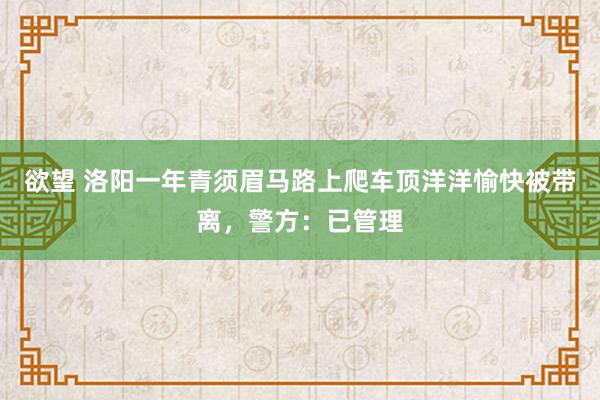 欲望 洛阳一年青须眉马路上爬车顶洋洋愉快被带离，警方：已管理