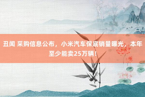 丑闻 采购信息公布，小米汽车保底销量曝光，本年至少能卖25万辆！