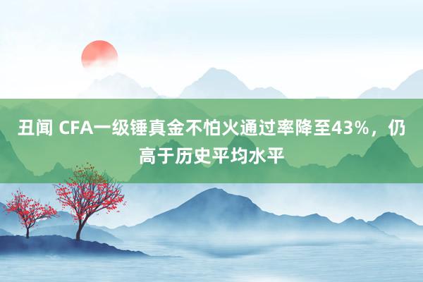 丑闻 CFA一级锤真金不怕火通过率降至43%，仍高于历史平均水平